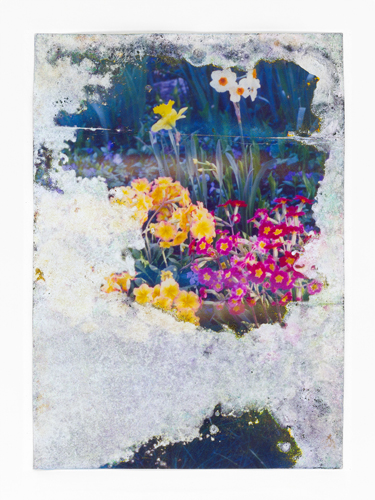Glyphosate Dreams artwork by Katina Bitsicas