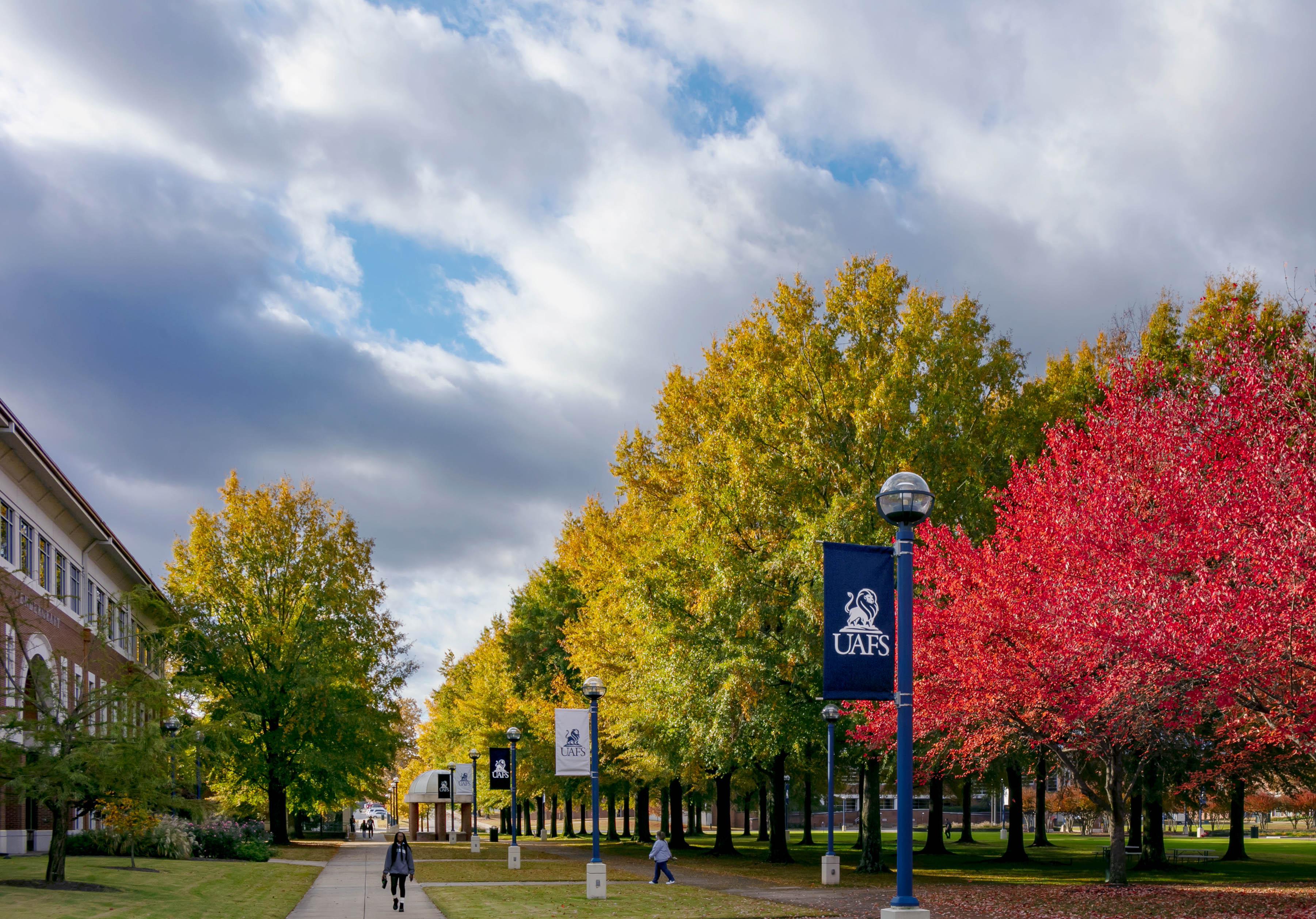 fall on campus