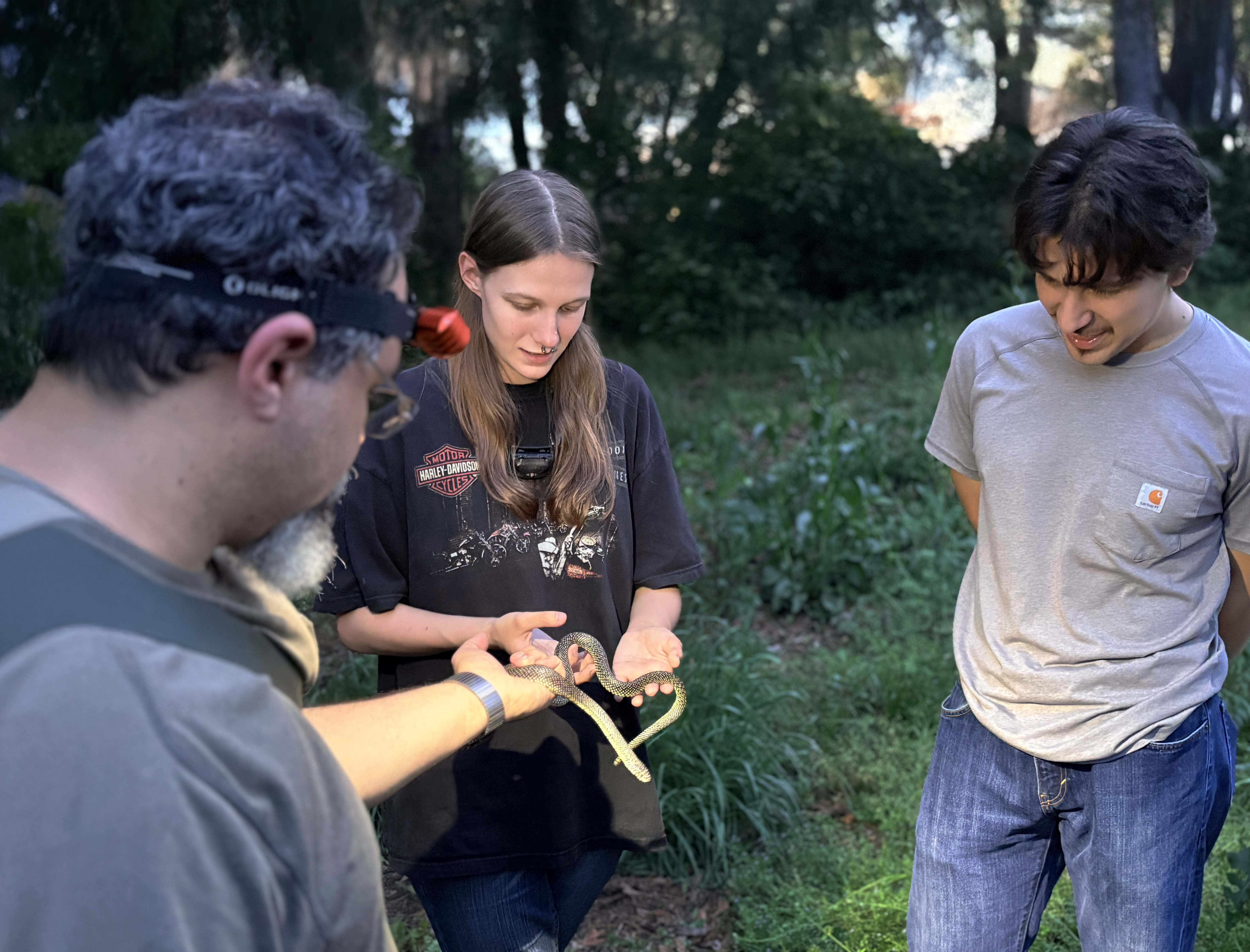 Willow McFerran holds a Speckled King Snake during a herpetology night outing