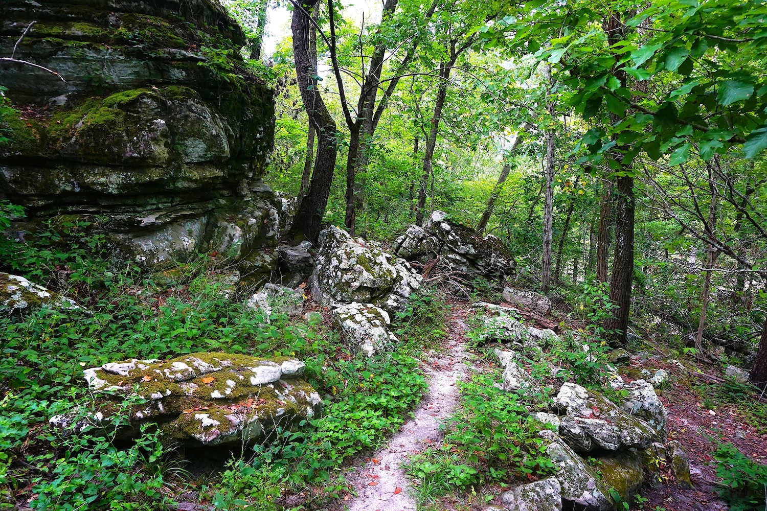 Arkansas trails offer hiking options for everyone from beginners to seasoned professionals.