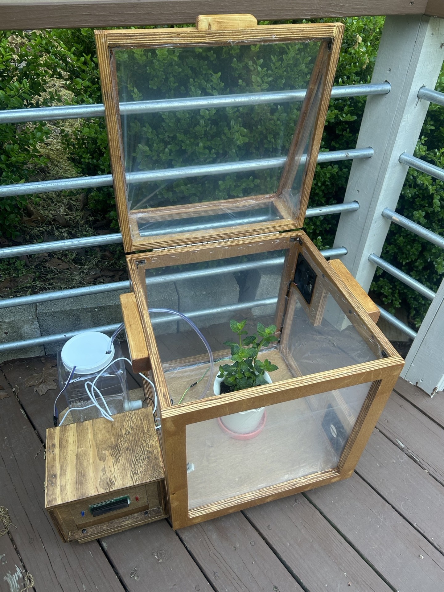 photo of glass box with a small houseplant inside and tubes from a watering canister going inside